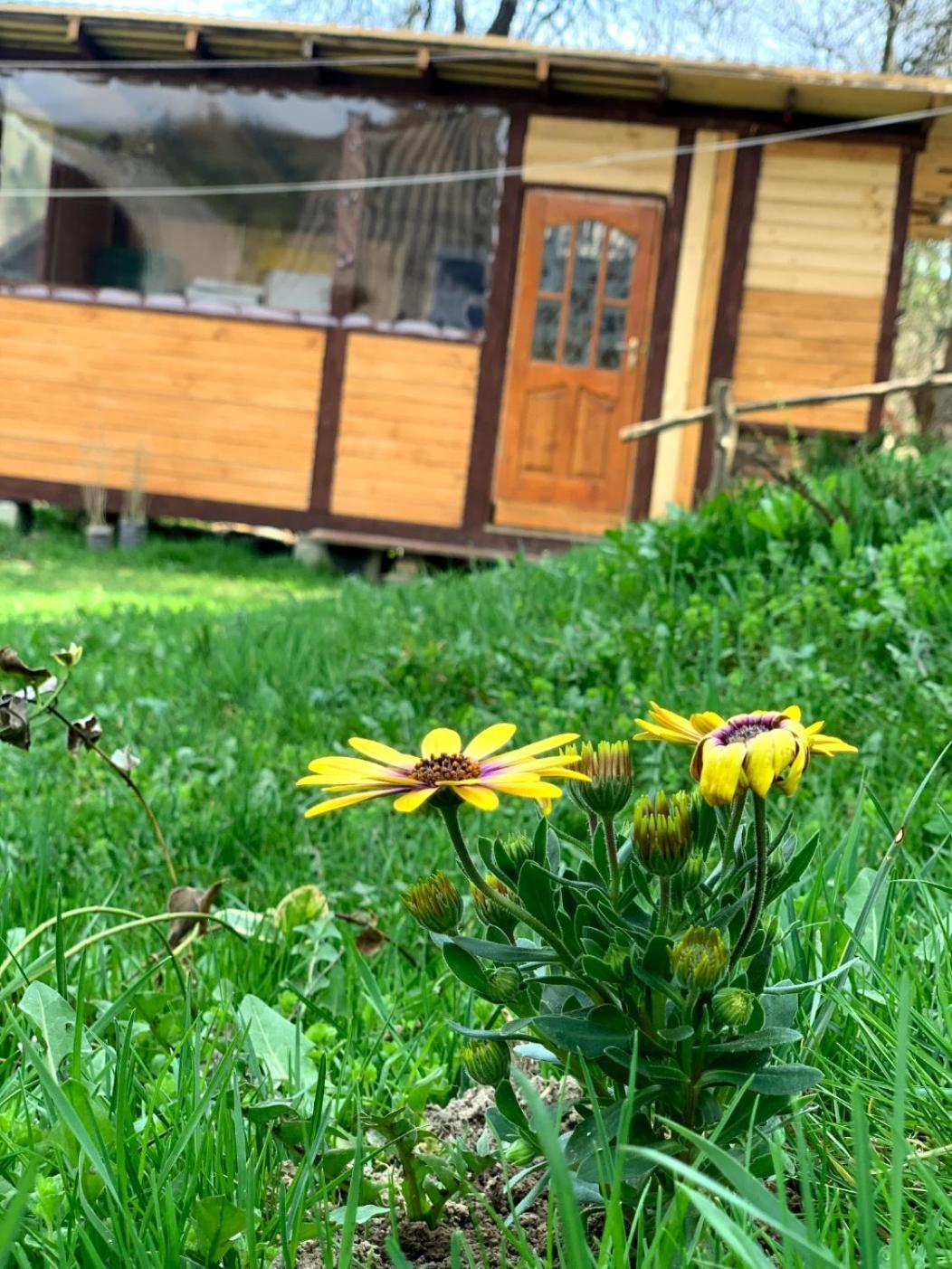 Smerekova Hata Orjavčyk Exteriér fotografie